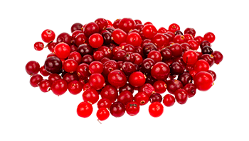 Ekstrakt z żurawiny